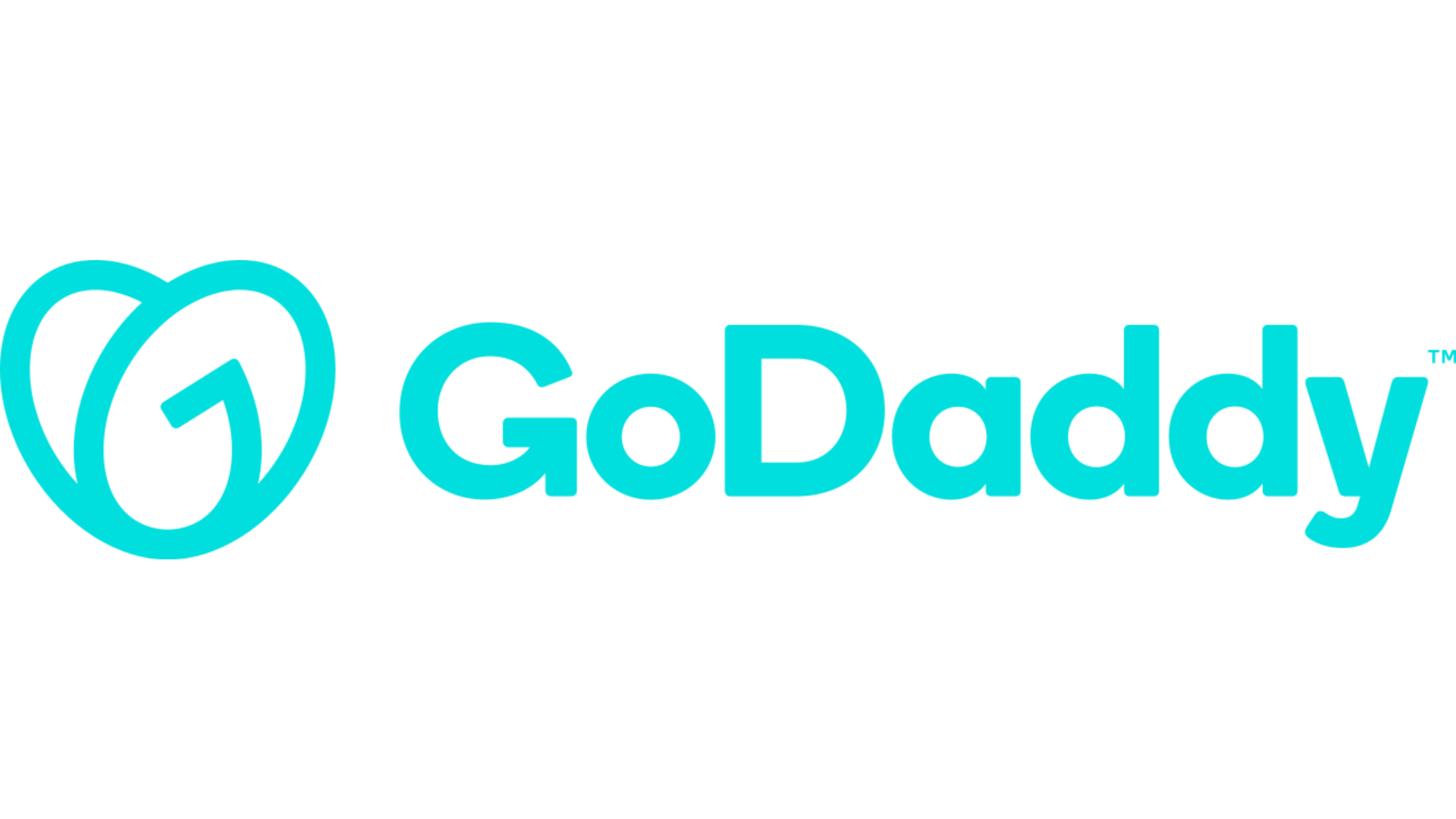 GoDaddy Logo.png